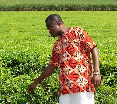 A man walking through a green field